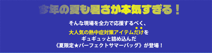 熱中症対策パーフェクトサマーバッグ
