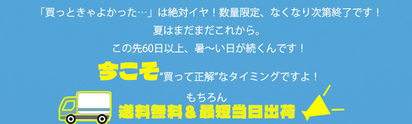 熱中症対策パーフェクトサマーバッグ
