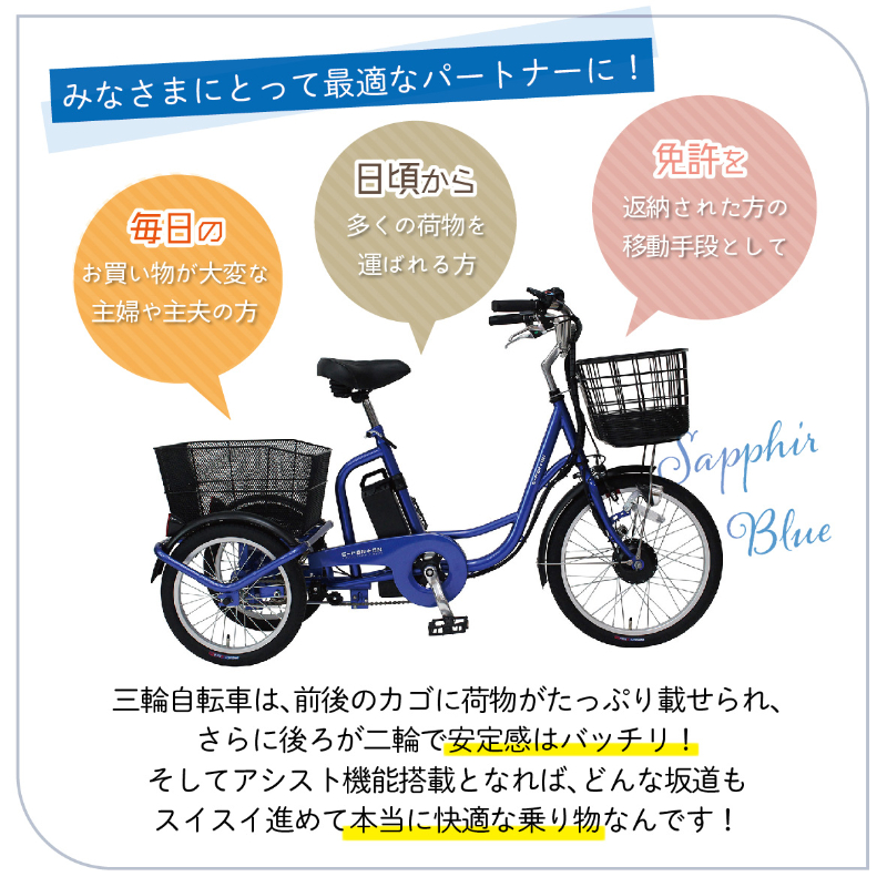 E-PARTON 電動アシスト三輪自転車 TSマーク取得 LEDライト 鍵付き 安定 防災 保管 BEPN20SB ミムゴ