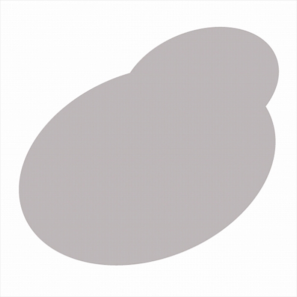 アトミクス フロアトップアクアW#5000 15kg ナチュラルグレー