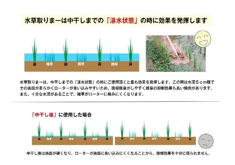 水草取りまー