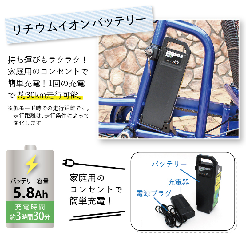 E-PARTON 電動アシスト三輪自転車 TSマーク取得 LEDライト 鍵付き 安定 防災 保管 BEPN20SB ミムゴ
