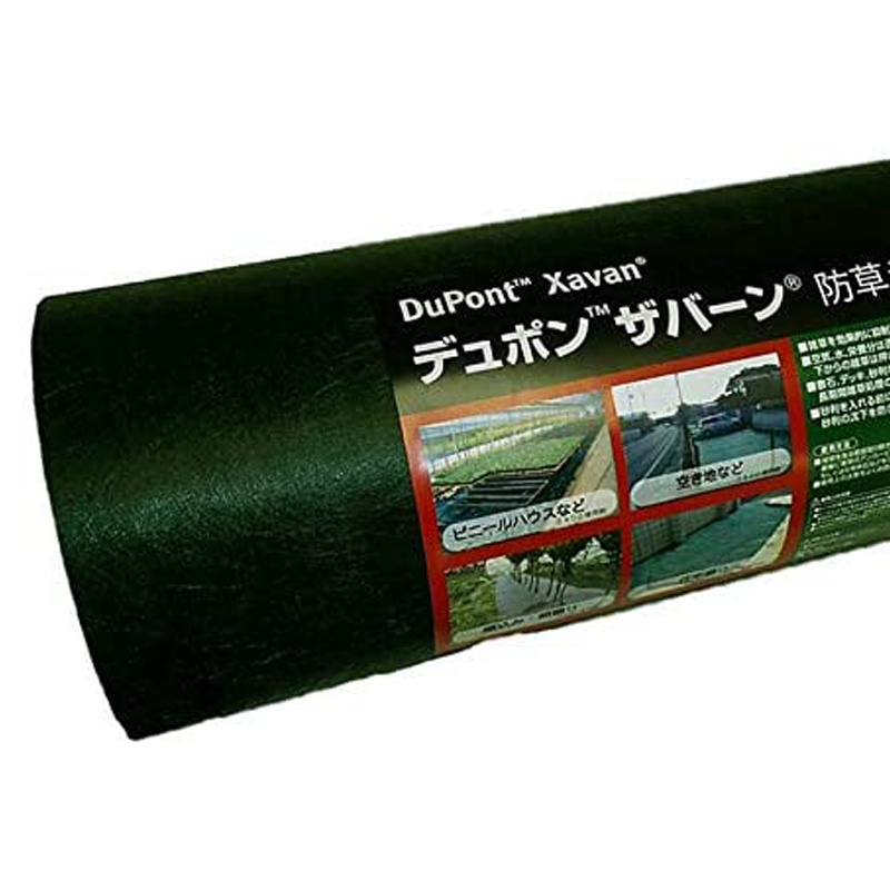 人気急上昇 ザバーン 2本セット 緑 XA-240G2.0 幅2m×長さ30m デュポン グリー ンフィールド 除草 対策 掃除 庭 畑 個人 4000 円