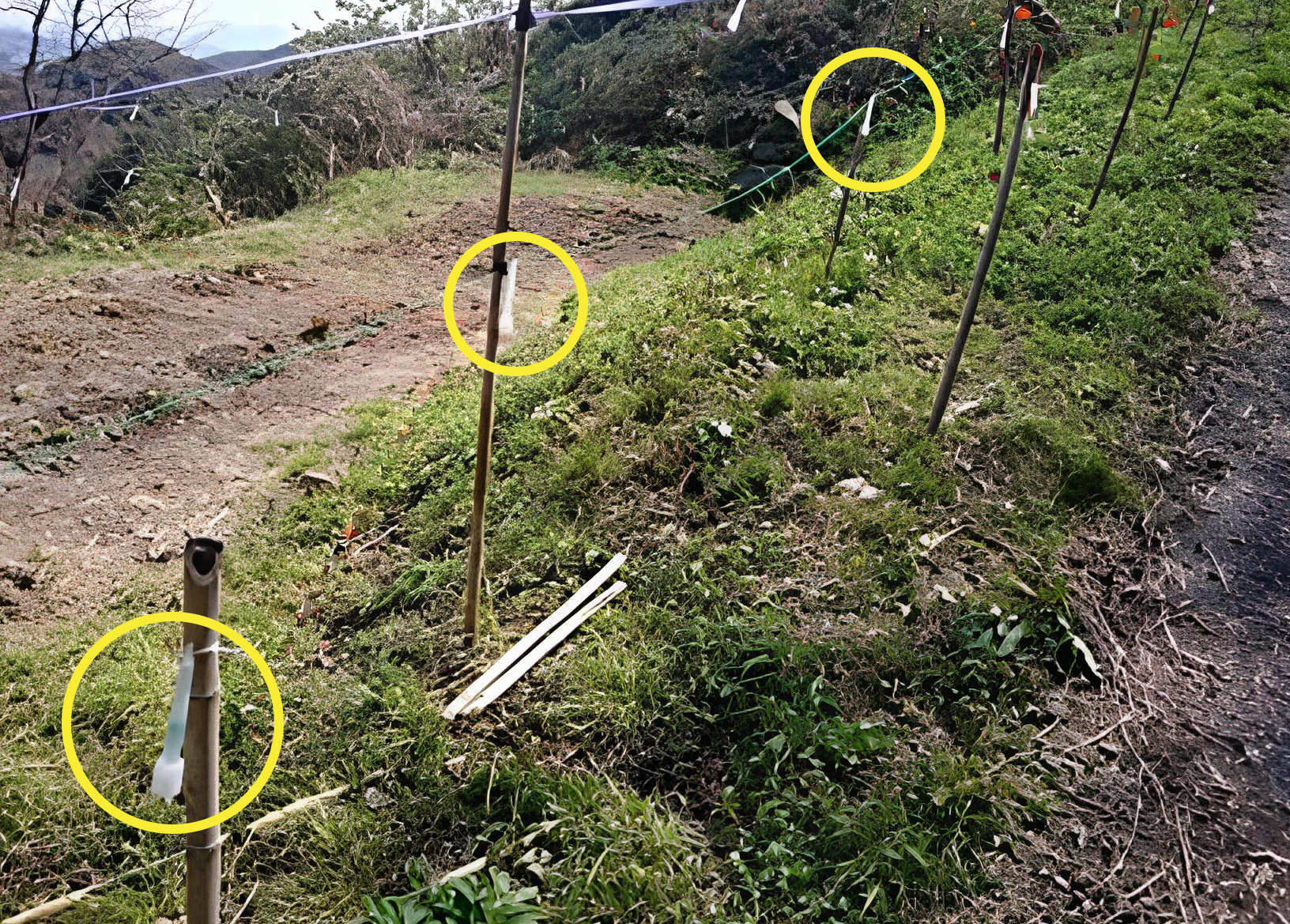 【20本入/イノシシ忌避剤】 しし防 スティックタイプ 約1年間効果持続 猪撃退 獣害対策フェンス・電気柵用 簡単設置 メンテナンスフリー 栄宝