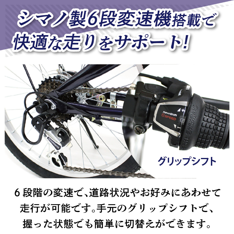FIELD CHAMP 20インチ6段折畳み自転車BL JIS規格適合 シマノ製6段変速ギア 安定 防災 保管 MG-FCP206BL ミムゴ