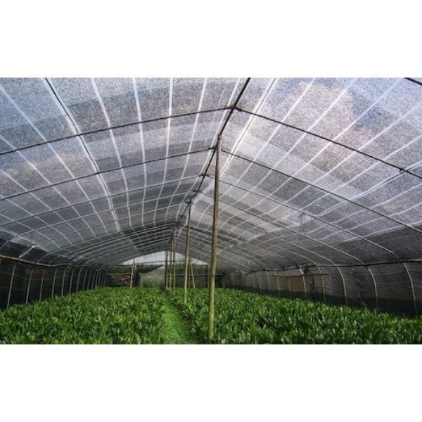 遮光ネット 遮光率65% 黒 2m×50m 厚み0.8mm 日よけ網