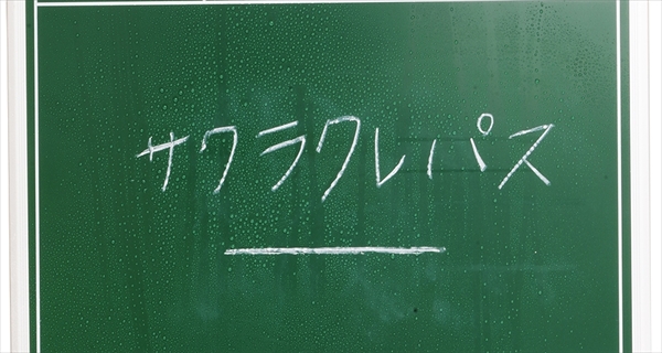 サクラクレパス 白 10本入り No.50