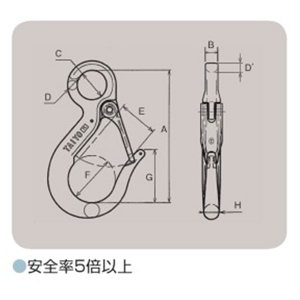 有名ブランド 大洋 eフック ラッチ付 使用荷重1.25T