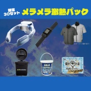 熱中症対策パーフェクトサマーバッグ メラメラ激熱パック LL シルバー