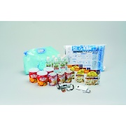自宅備蓄用品セット 飲料水 リン酸鉄モバイルバッテリー LEDパームラジオライト アルファ米 防災用クラッカー 非常用トイレ他 8点セット 7212034 防災・避難用品 船山 FUNAYAMA