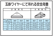 イラスト標識 【玉掛ワイヤーにて吊れる安全荷重】 ＷＦ22 600mm×900mm マンガ標識