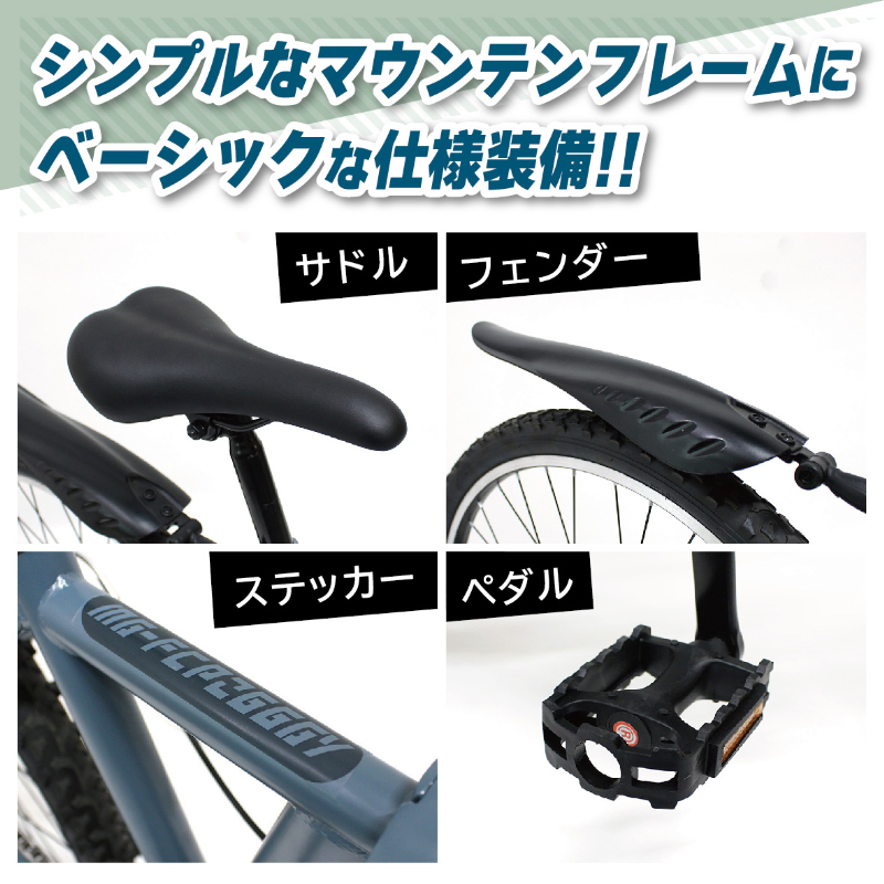 FIELD CHAMP 20インチ6段折畳み自転車BL MG-FCP206BL