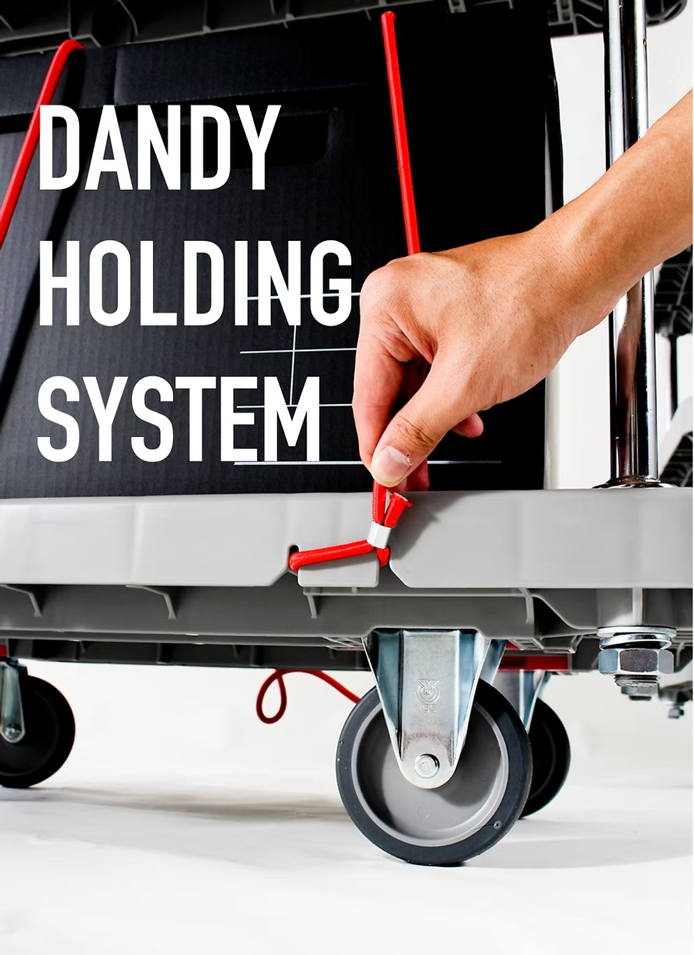 DANDY Xseries